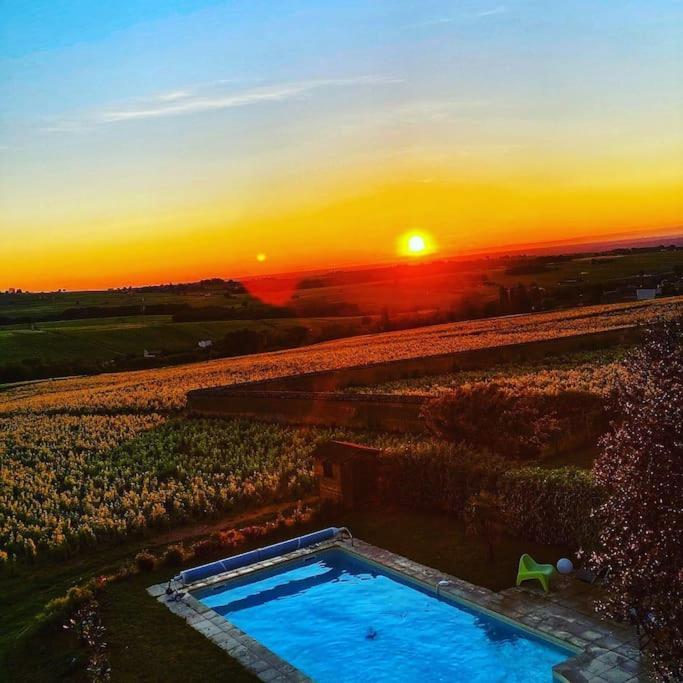 Apartament Au Coeur Des Vignes Moulin A Vent La Chapelle-de-Guinchay Zewnętrze zdjęcie