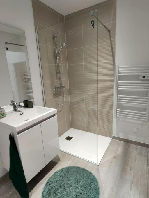 Apartament Au Coeur Des Vignes Moulin A Vent La Chapelle-de-Guinchay Zewnętrze zdjęcie