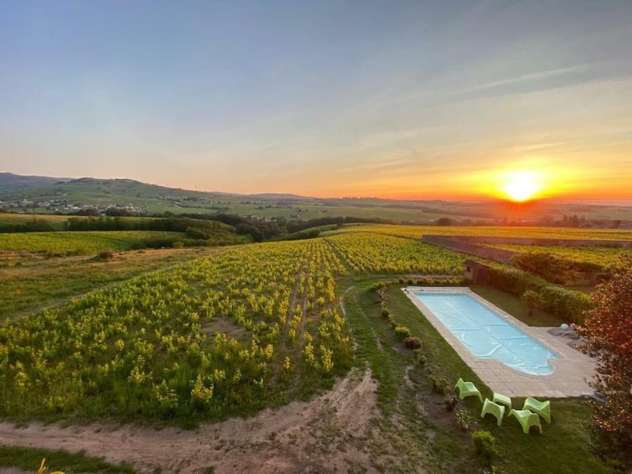 Apartament Au Coeur Des Vignes Moulin A Vent La Chapelle-de-Guinchay Zewnętrze zdjęcie