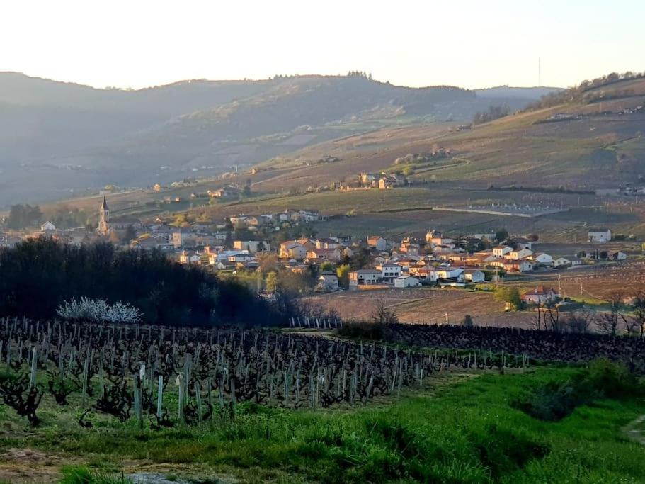 Apartament Au Coeur Des Vignes Moulin A Vent La Chapelle-de-Guinchay Zewnętrze zdjęcie
