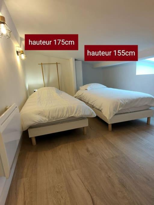 Apartament Au Coeur Des Vignes Moulin A Vent La Chapelle-de-Guinchay Zewnętrze zdjęcie