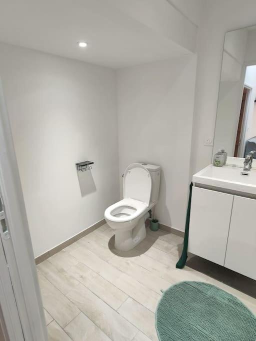 Apartament Au Coeur Des Vignes Moulin A Vent La Chapelle-de-Guinchay Zewnętrze zdjęcie